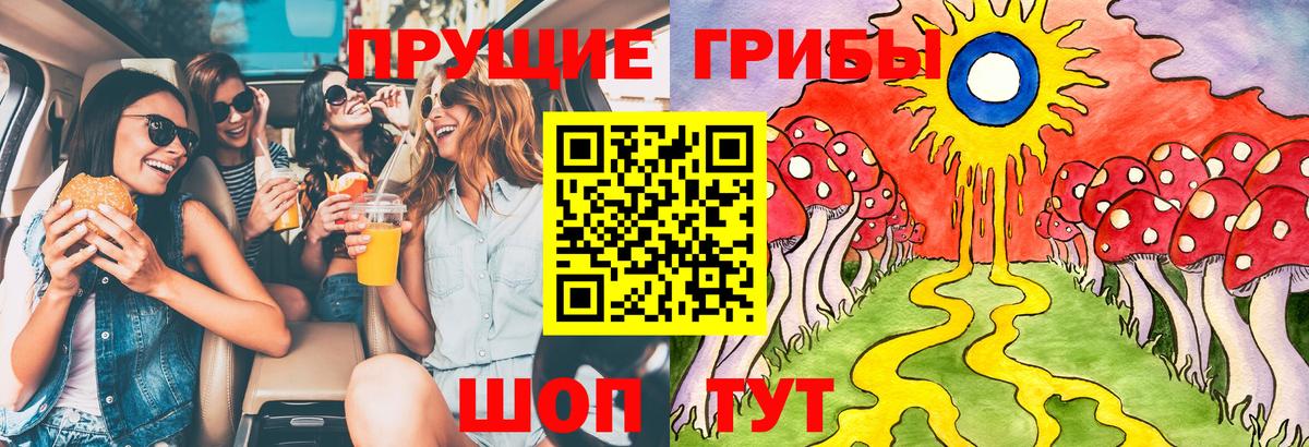 продажа наркотиков  Галлюциногенные грибы Psilocybine cubensis  Вход с VPN  Муравленко 