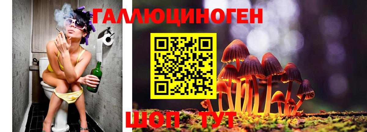Галлюциногенные грибы мухоморы Муравленко